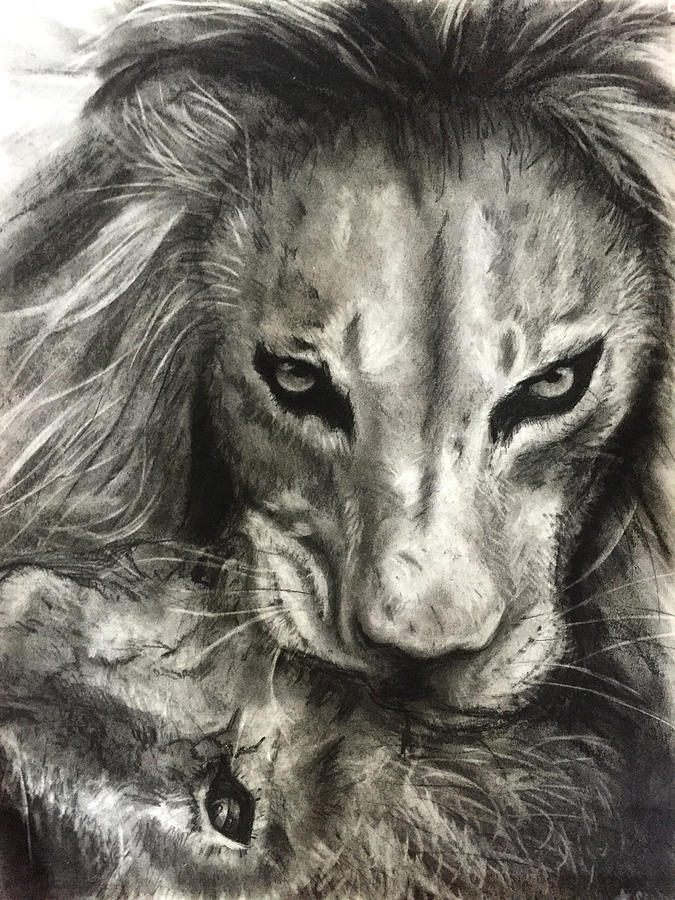 Lions World Drawing by Michelle Pier