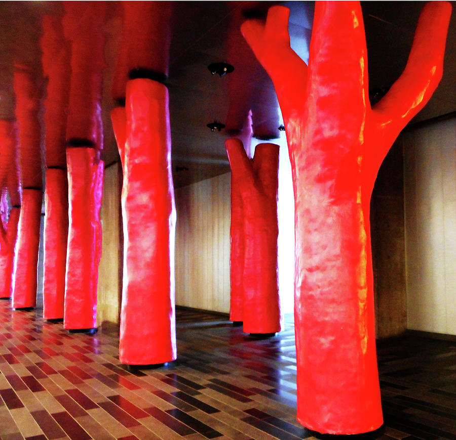 Lipstick Forest 1 Photograph by Ron Kandt