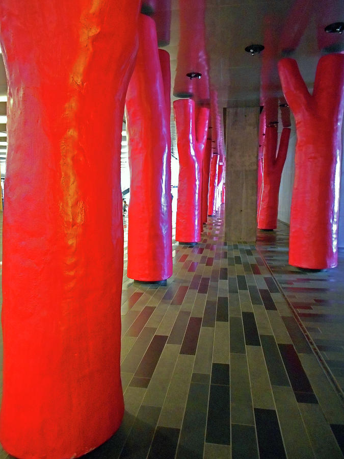 Lipstick Forest 2 Photograph by Ron Kandt