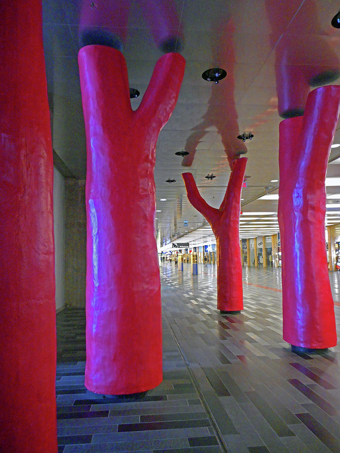Lipstick Forest 4 Photograph by Ron Kandt