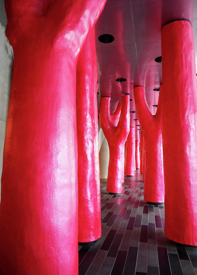 Lipstick Forest 5 Photograph by Ron Kandt