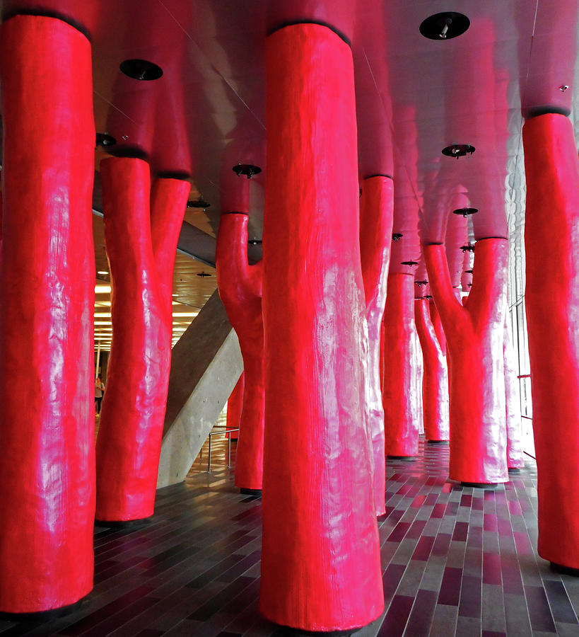 Lipstick Forest 6 Photograph by Ron Kandt