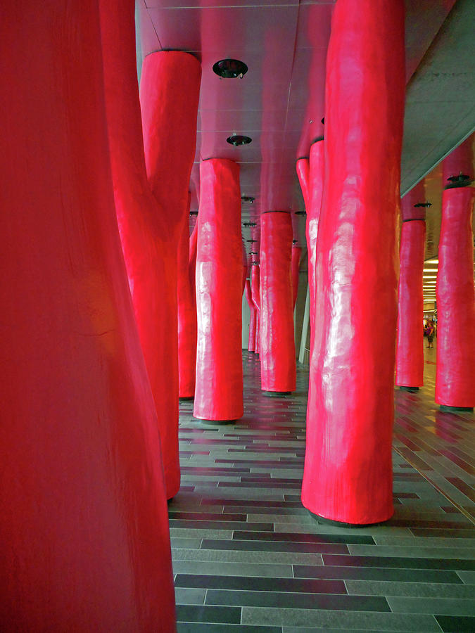 Lipstick Forest 9 Photograph by Ron Kandt