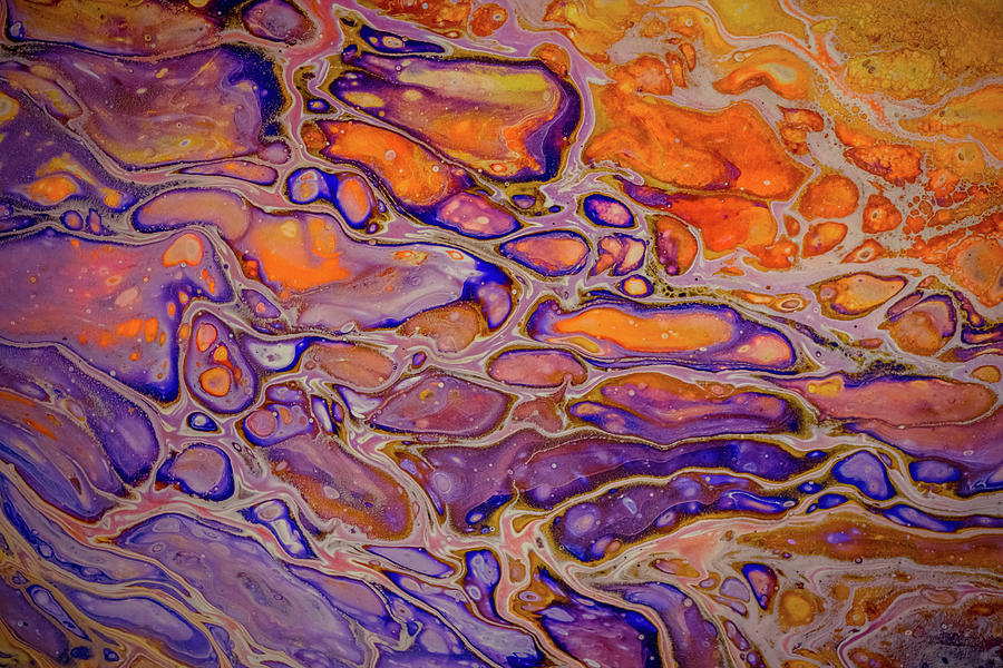 Liquid Abstract 7 Painting by Lilia S