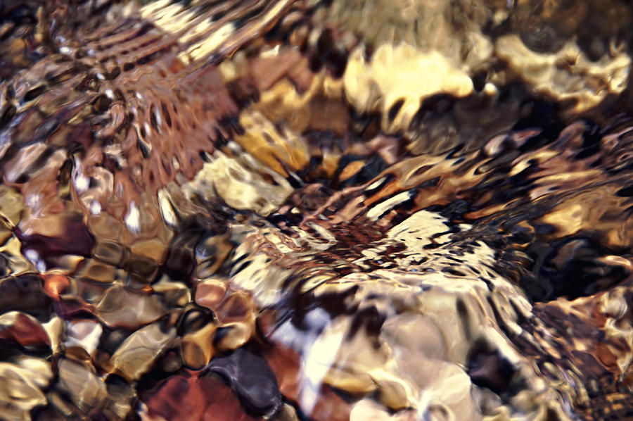 Liquid Abstraction 2 toned Photograph by Leda Robertson