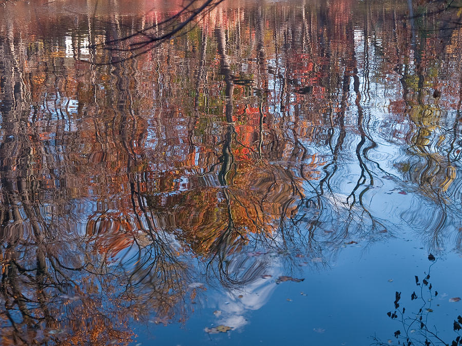 Liquid Autumn Photograph by Jim DeLillo