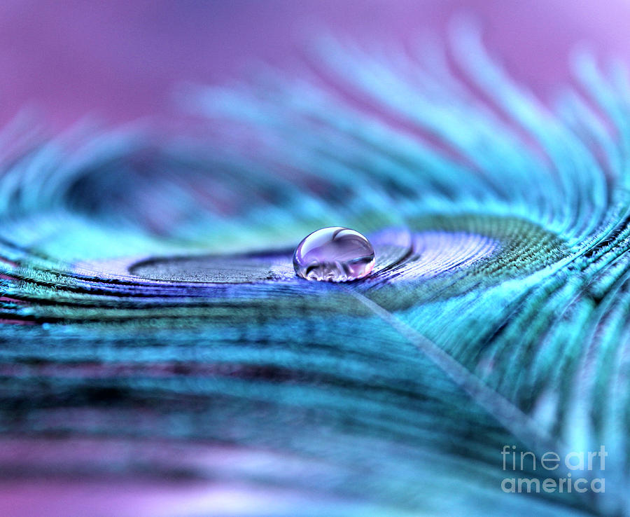 Peacock Photograph - Liquid Bliss by Krissy Katsimbras