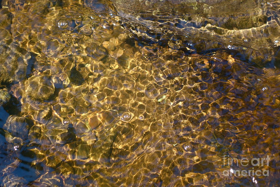 Liquid Gold     Water Abstract Photograph by Sandra Updyke