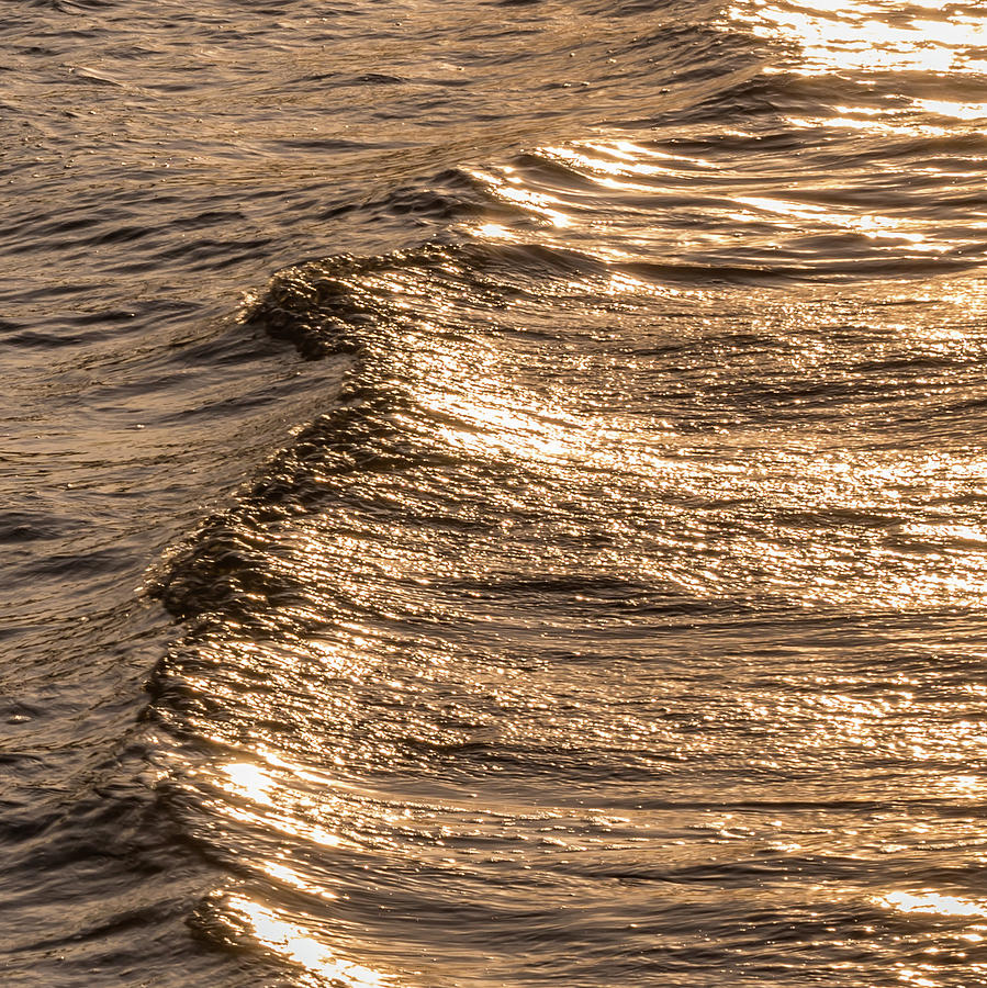 Liquid Gold Abstract Square Photograph by Terry DeLuco