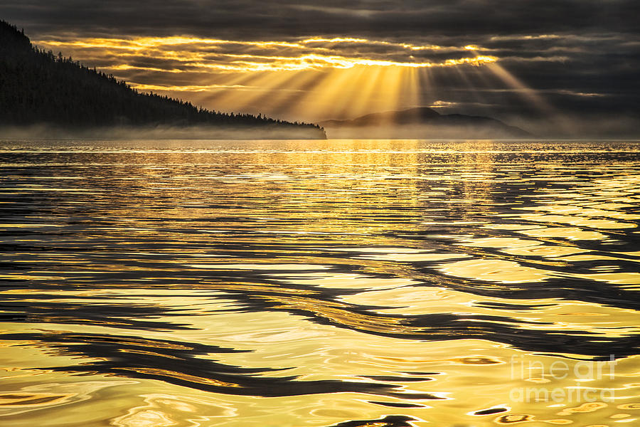 Liquid Gold Photograph by Alice Cahill