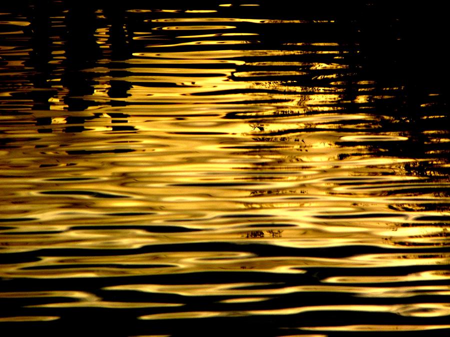 Liquid Gold by Henry Murray
