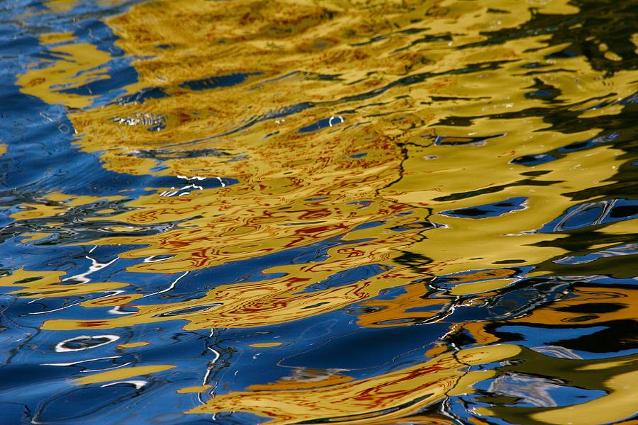 Liquid Gold Photograph by Polly Castor