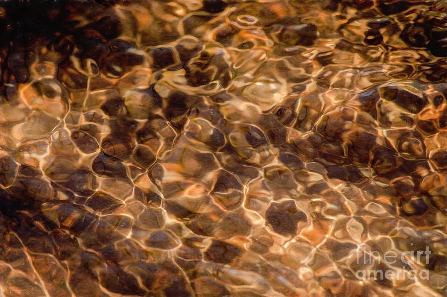 Liquid Gold Photograph by Teresa Wilson