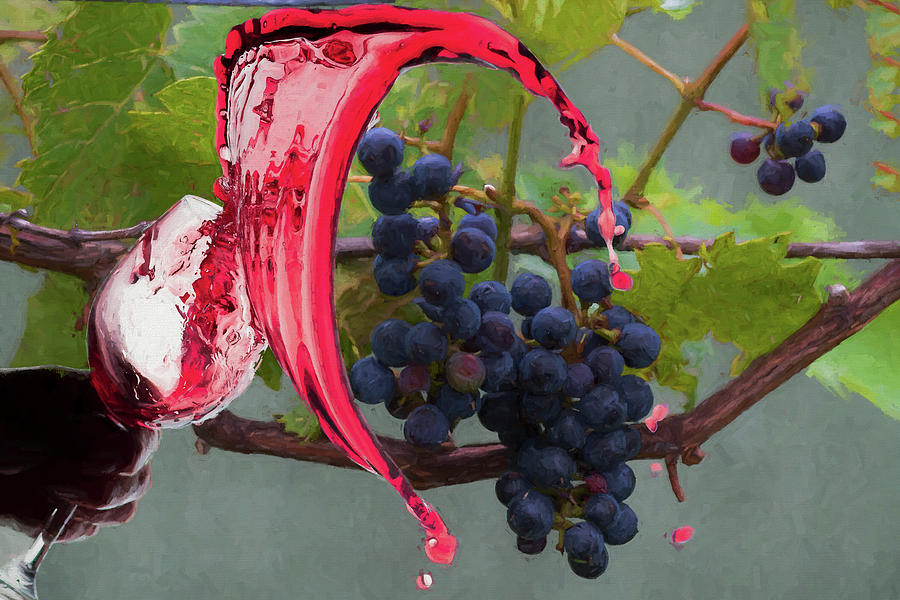 Liquid grape spill Photograph by Dan Friend