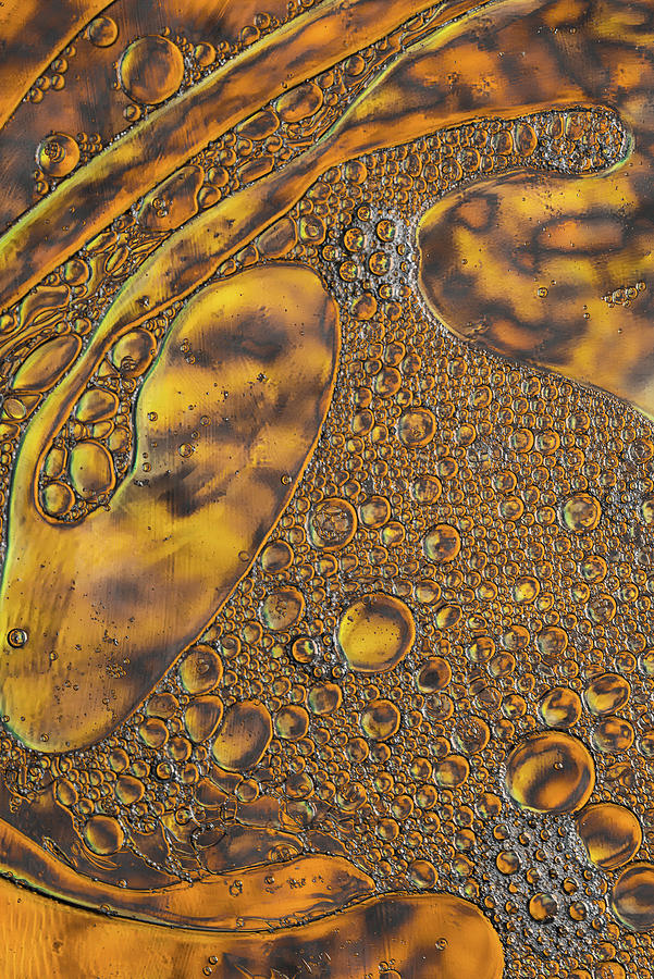 Liquid Leopard Pattern Photograph by Bruce Pritchett