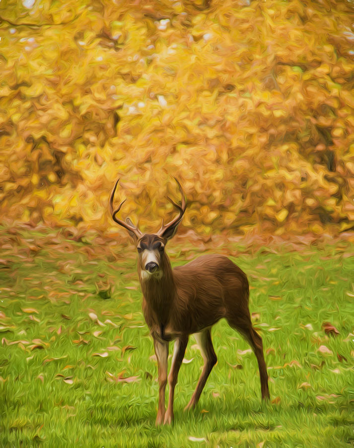 Majestic Deer - digitally painted Photograph by Marilyn Wilson