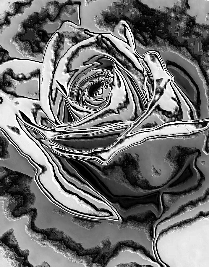 Liquid Rose Photograph by Belinda Cox