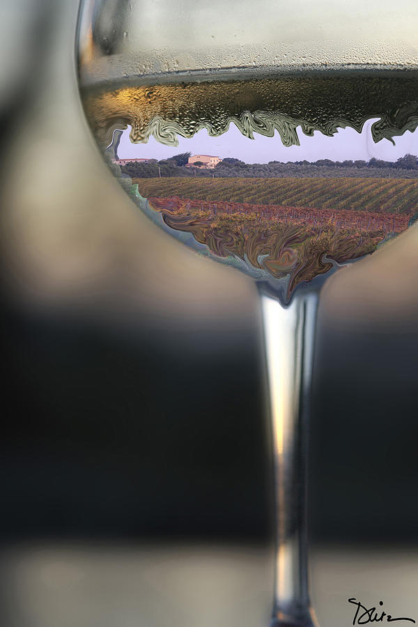 Liquid Tuscany Photograph by Peggy Dietz