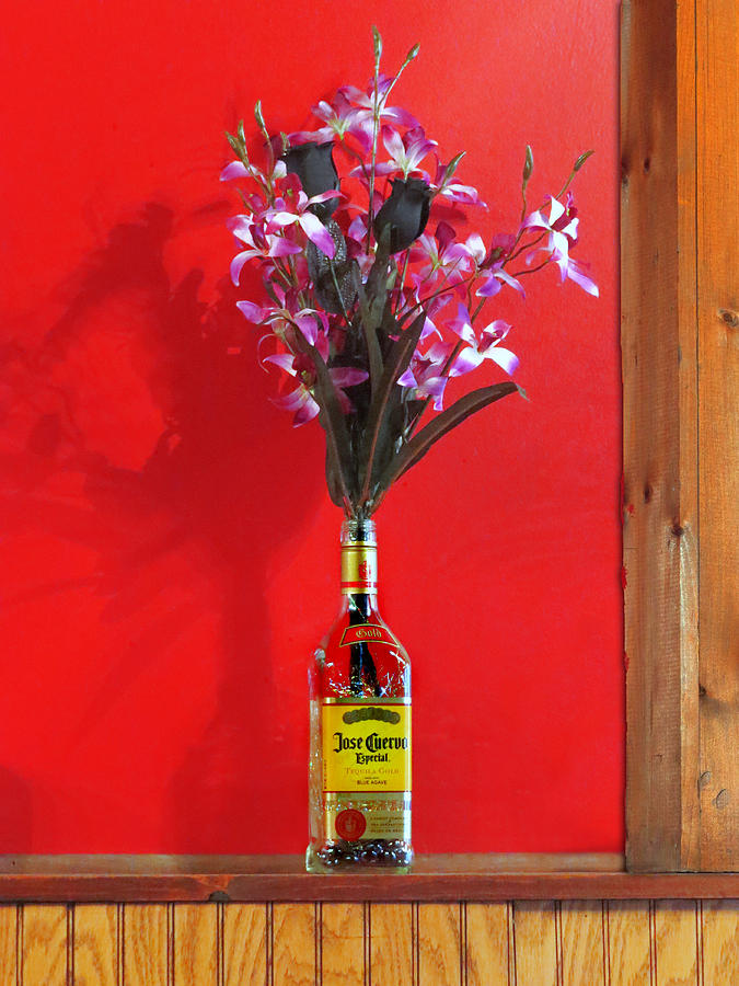 Liquor Bottle Vase-2 Photograph by Nina Bradica