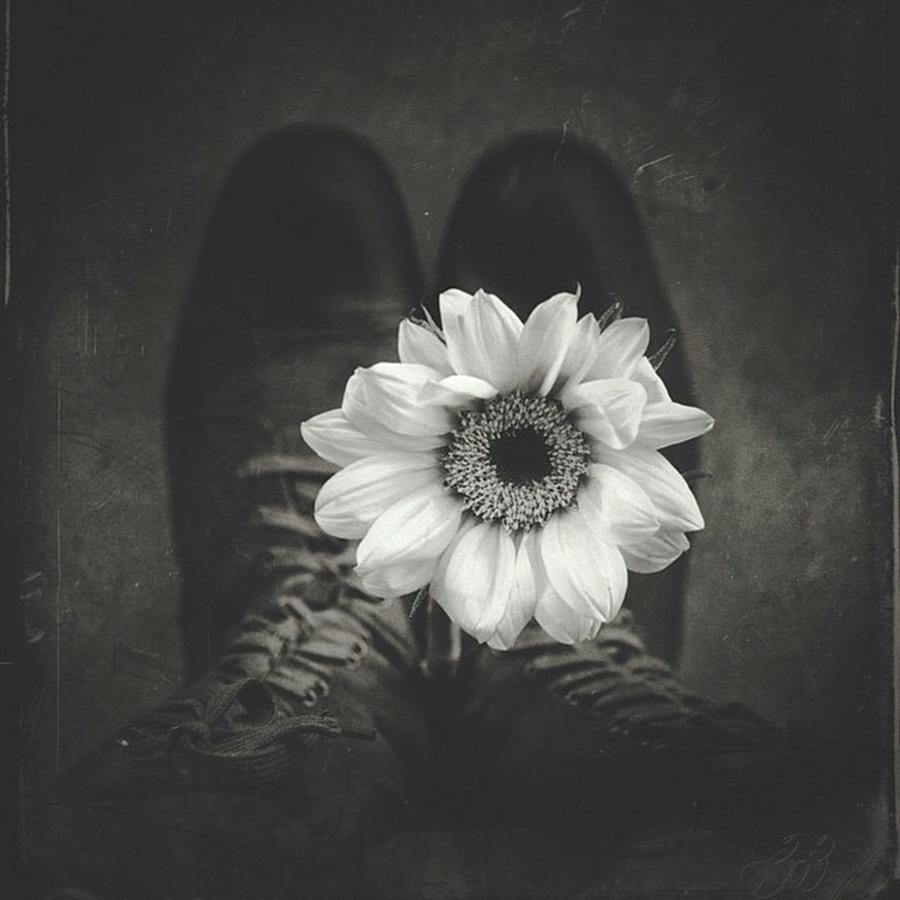 Blackandwhite Photograph - Sunflower and Boots by Lisa Richelle