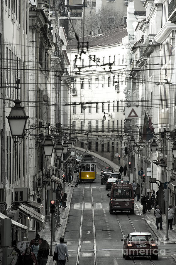 Lisbon Central Photograph