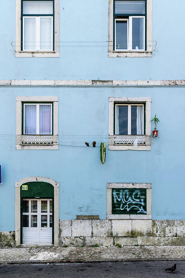 Lisbon Door and Windows Photograph by Steven Richman