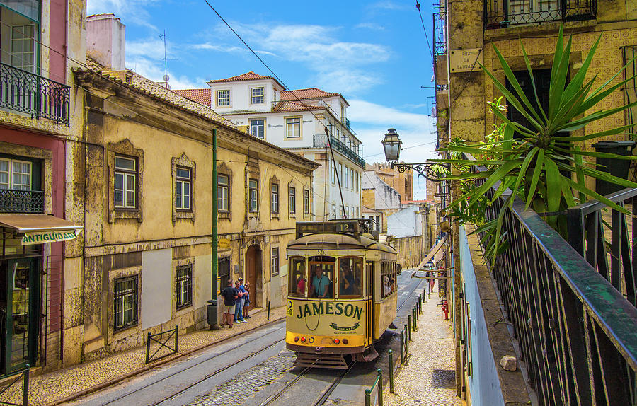 Lisbon Tram #12 Photograph by Venetia Featherstone-Witty