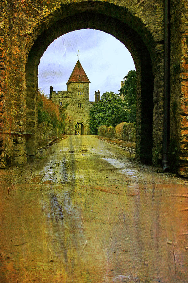 Lismore Castle Gate Photograph by Martina Fagan