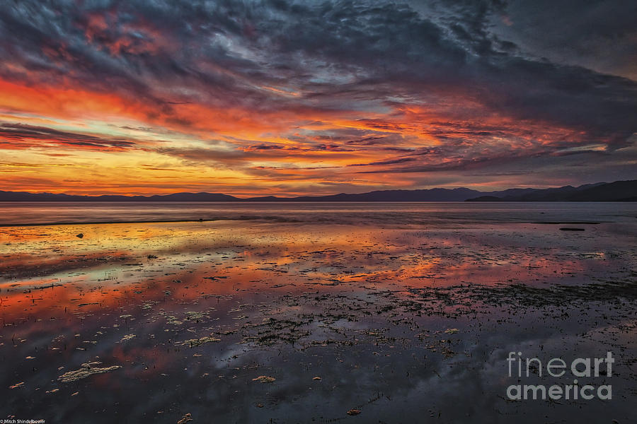 Beach Sunset Photograph - Listen by Mitch Shindelbower
