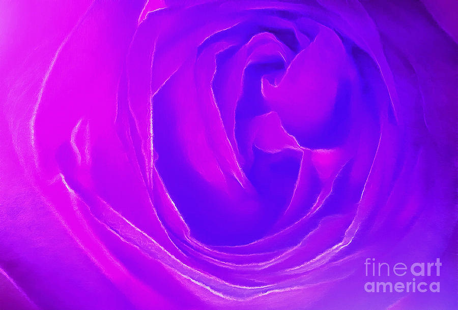 Rose Photograph - Listen To Your Heart by Krissy Katsimbras
