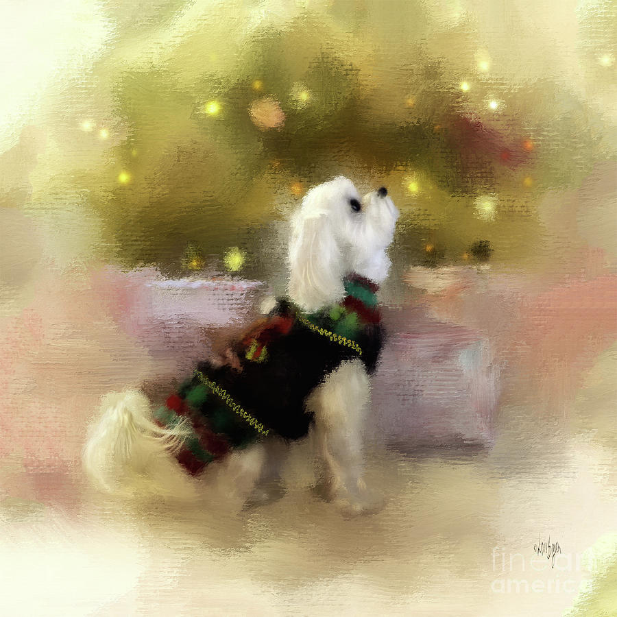 Dog Digital Art - Listening For Santa by Lois Bryan