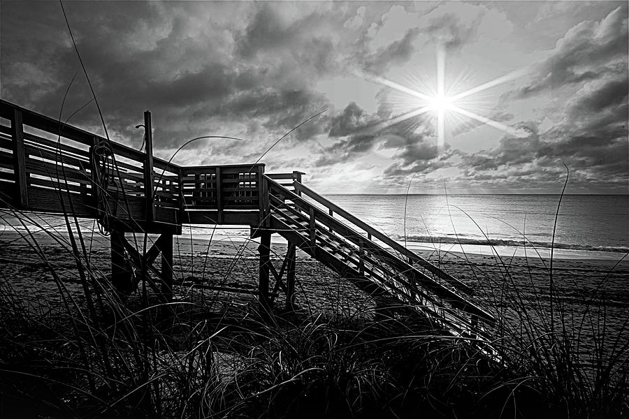 Lit Up in Black and White Photograph by Debra and Dave Vanderlaan