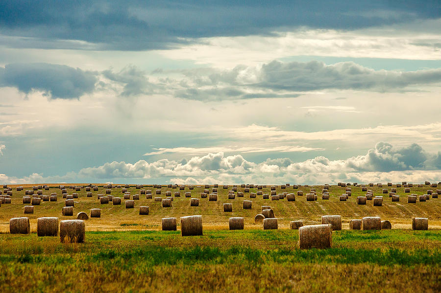 Littered with Bales Photograph by Todd Klassy