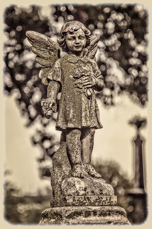 Little Angel Photograph by Diana Powell