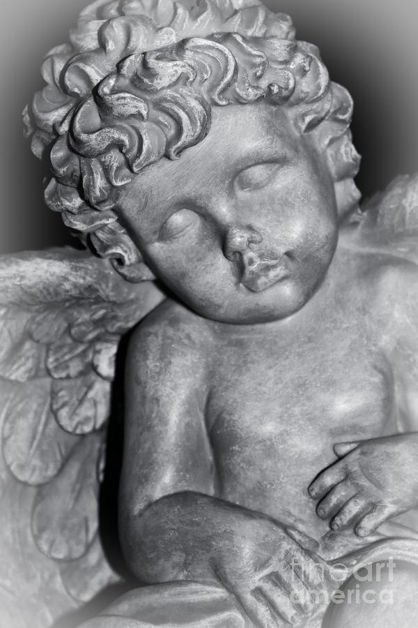 Little Angel Photograph by Ella Kaye Dickey