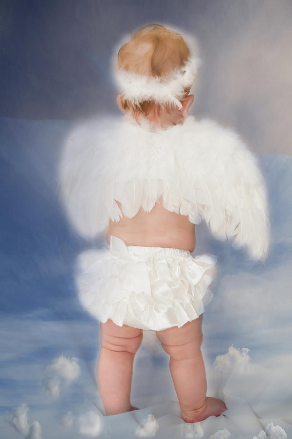 Little Angel Photograph by Linda Segerson