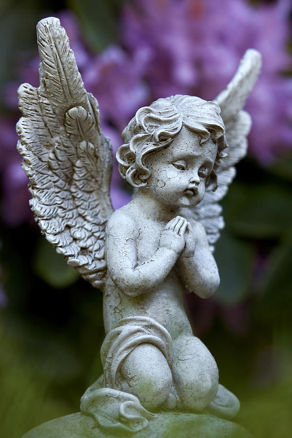 Little Angel Photograph by Marc Huebner