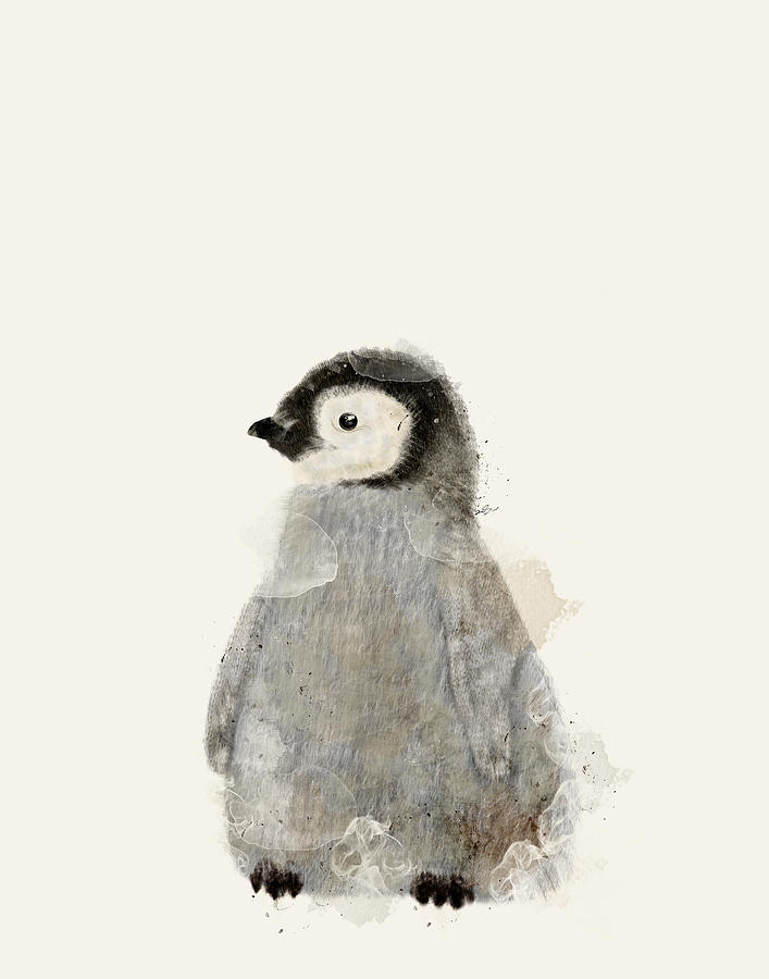 Animal Painting - Little Baby Penguin by Bri Buckley