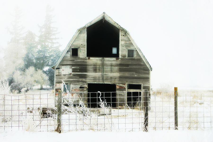 Little Barn Photograph by Julie Hamilton