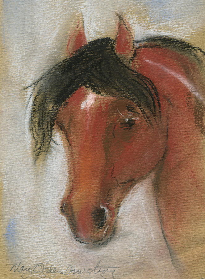 Little bay horse Mixed Media by Mary Armstrong