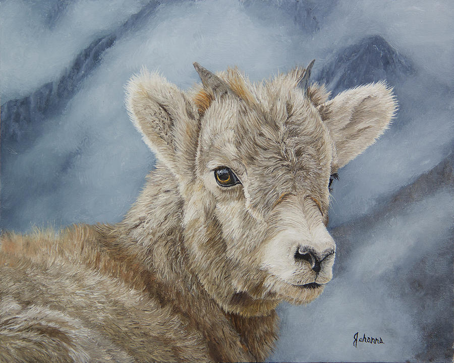 Little Bighorn - Bighorn Sheep Lamb Painting by Johanna Lerwick