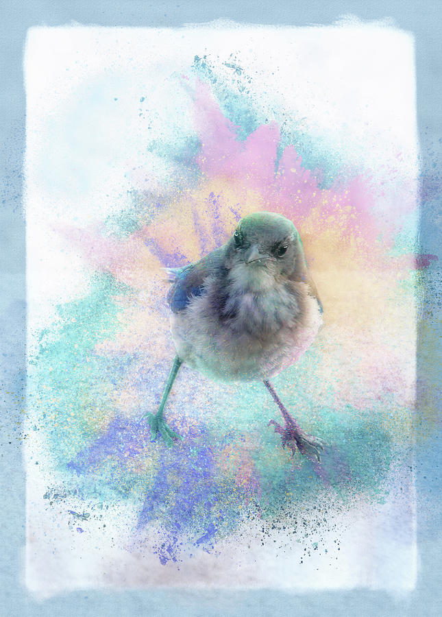 Little Bird Blue Digital Art by Terry Davis