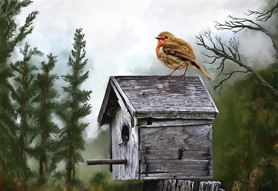 Little Birdie Digital Art by Susan Kinney