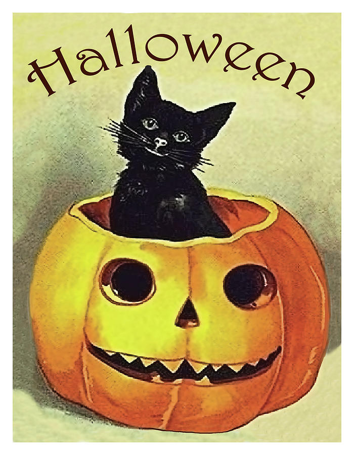 Pumpkin Mixed Media - Little black cat inside carved pumpkin by Long Shot