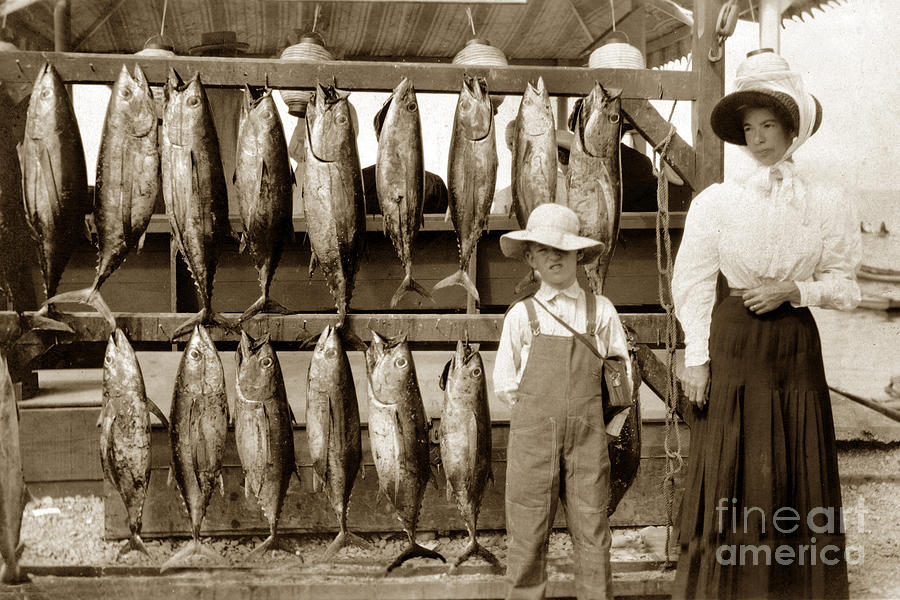 Fish Photograph - Little Boy and his Mother by Tuna Fish Tuna Club of Santa Catalina 1903 by Monterey County Historical Society