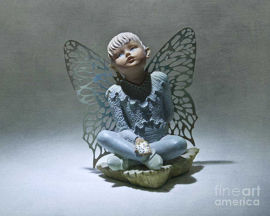 Little Boy Blue Fairy Photograph by Terri Waters