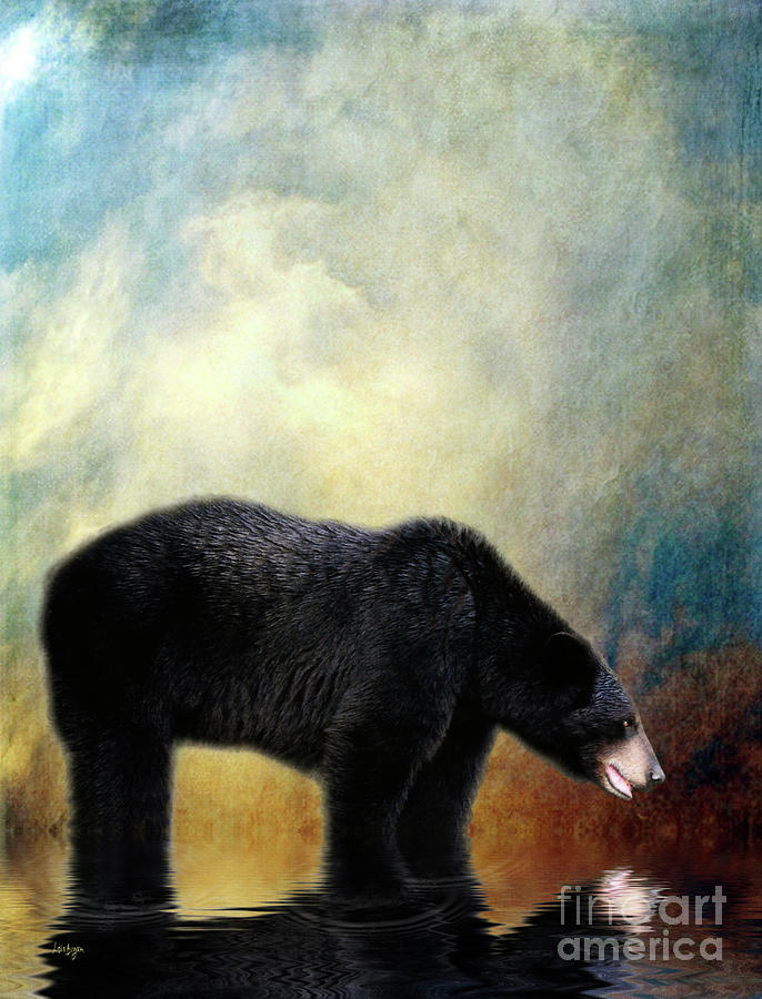 Bear Photograph - Little Boy Lost by Lois Bryan
