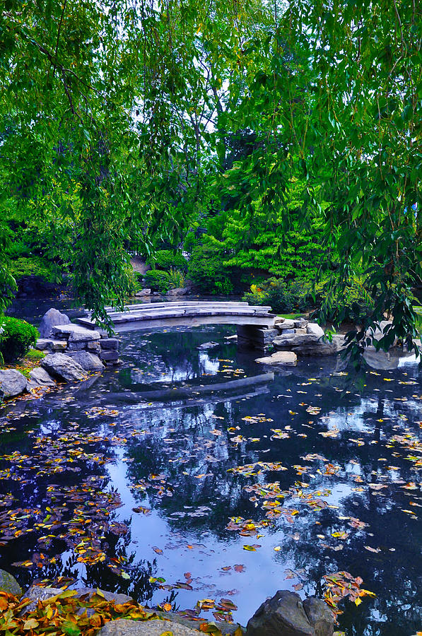 Philadelphia Photograph - Little Bridge - Japanese Garden by Bill Cannon
