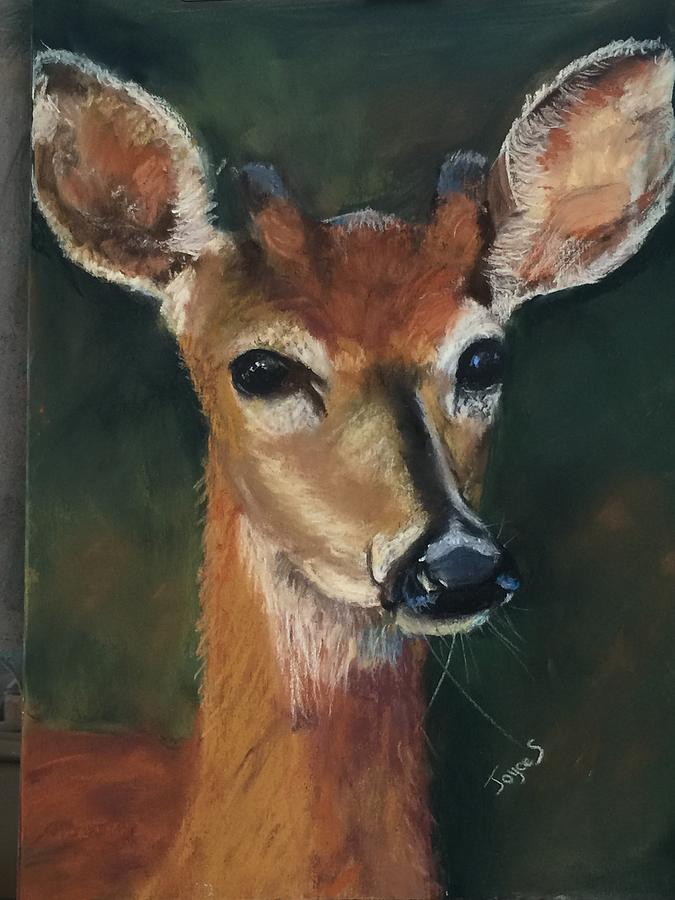 Little Buck Painting by Joyce Spencer