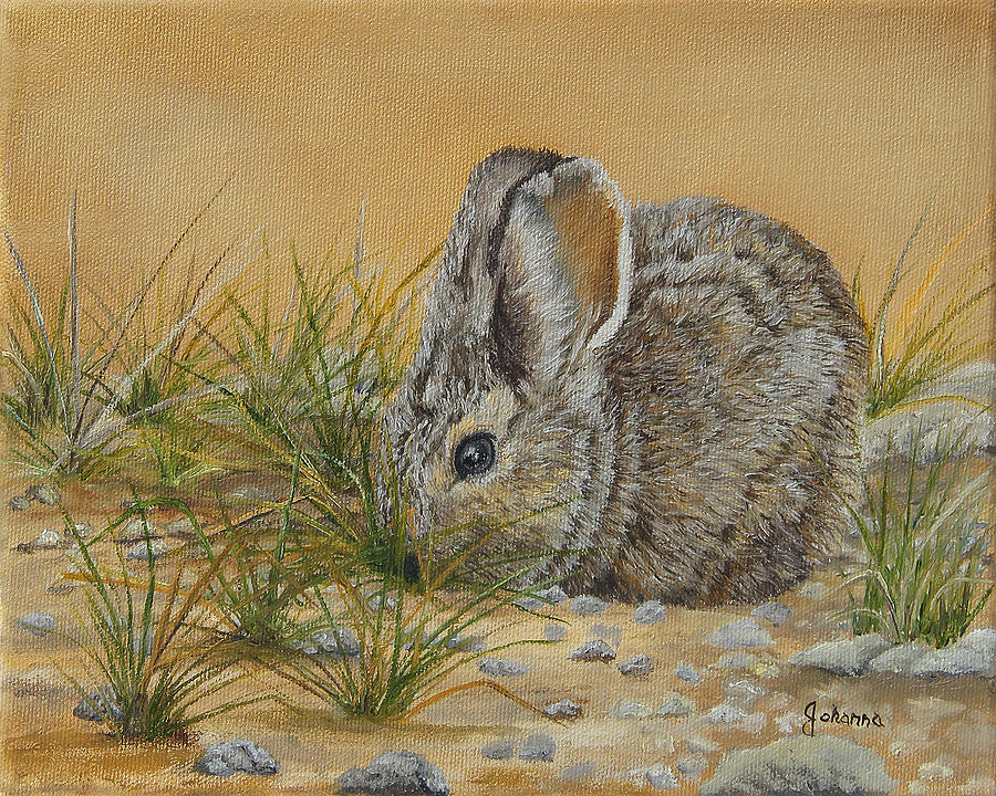 Little Bunny Painting by Johanna Lerwick